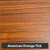 American orange tick