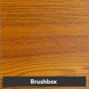 Brushbox