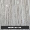 Siberian larch