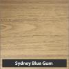  Sydney blue gum