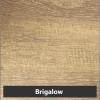 Brigalow